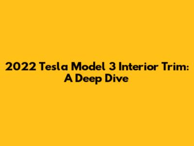 2022 Tesla Model 3 Interior Trim: A Deep Dive