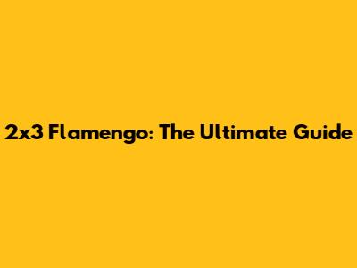 2x3 Flamengo: The Ultimate Guide