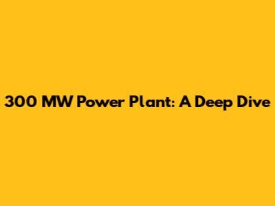 300 MW Power Plant: A Deep Dive