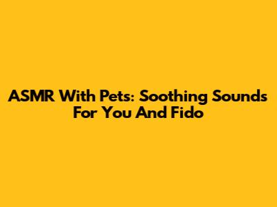 ASMR With Pets: Soothing Sounds For You And Fido
