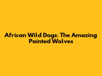 African Wild Dogs: The Amazing Painted Wolves