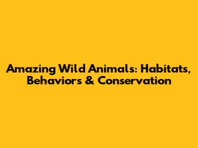 Amazing Wild Animals: Habitats, Behaviors & Conservation