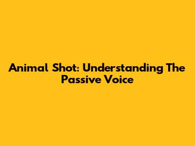 Animal Shot: Understanding The Passive Voice