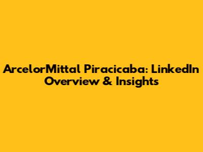 ArcelorMittal Piracicaba: LinkedIn Overview & Insights