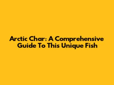 Arctic Char: A Comprehensive Guide To This Unique Fish