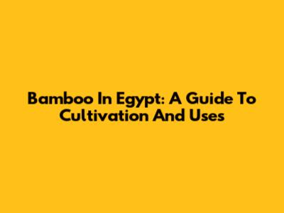 Bamboo In Egypt: A Guide To Cultivation And Uses