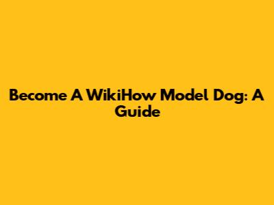 Become A WikiHow Model Dog: A Guide