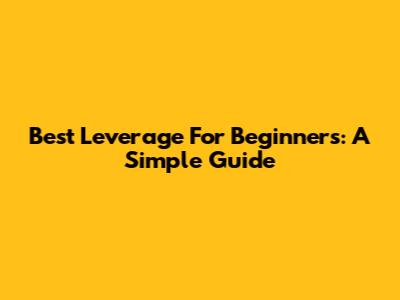 Best Leverage For Beginners: A Simple Guide