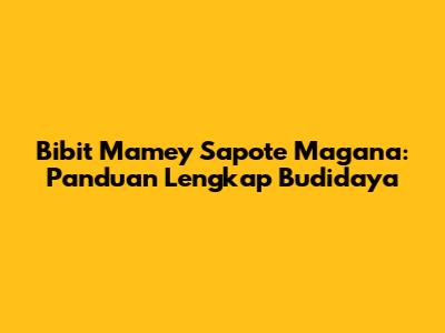Bibit Mamey Sapote Magana: Panduan Lengkap Budidaya