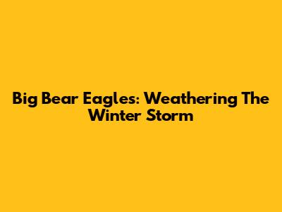Big Bear Eagles: Weathering The Winter Storm