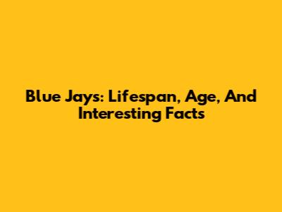 Blue Jays: Lifespan, Age, And Interesting Facts
