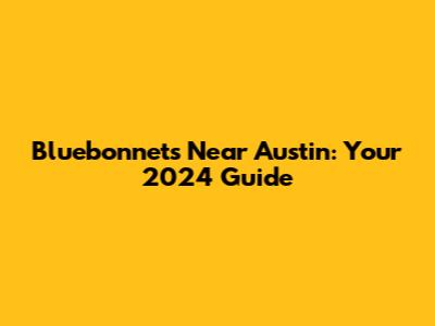 Bluebonnets Near Austin: Your 2024 Guide