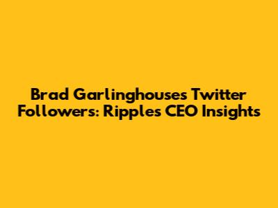 Brad Garlinghouse's Twitter Followers: Ripple's CEO Insights