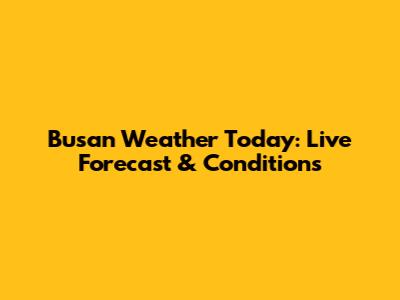 Busan Weather Today: Live Forecast & Conditions