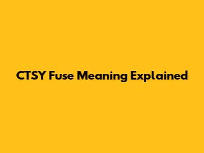 CTSY Fuse Meaning Explained