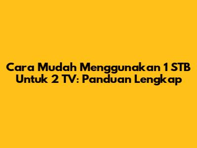 Cara Mudah Menggunakan 1 STB Untuk 2 TV: Panduan Lengkap