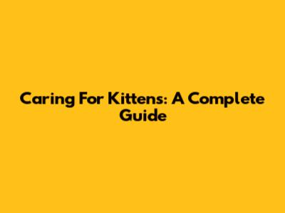 Caring For Kittens: A Complete Guide