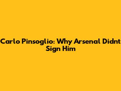 Carlo Pinsoglio: Why Arsenal Didn't Sign Him