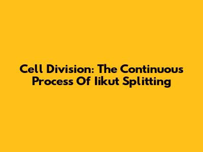 Cell Division: The Continuous Process Of Iikut Splitting