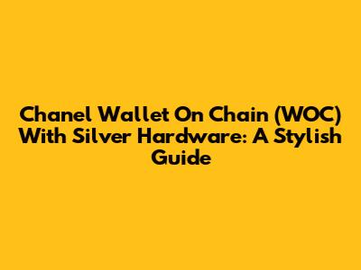 Chanel Wallet On Chain (WOC) With Silver Hardware: A Stylish Guide