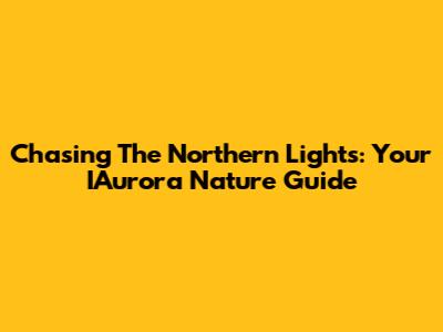 Chasing The Northern Lights: Your IAurora Nature Guide