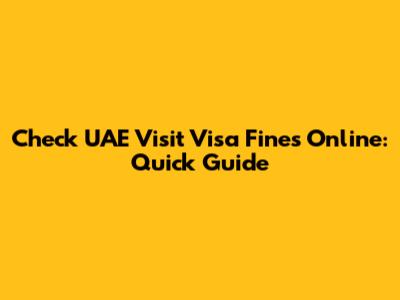 Check UAE Visit Visa Fines Online: Quick Guide