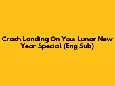 Crash Landing On You: Lunar New Year Special (Eng Sub)