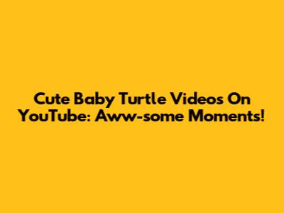 Cute Baby Turtle Videos On YouTube: Aww-some Moments!