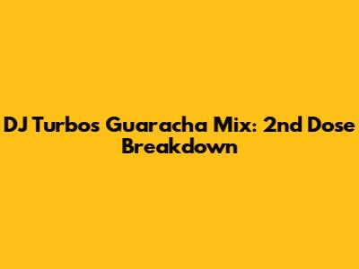 DJ Turbo's Guaracha Mix: 2nd Dose Breakdown