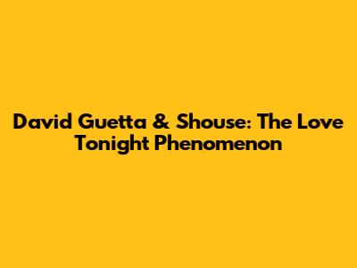 David Guetta & Shouse: The "Love Tonight" Phenomenon