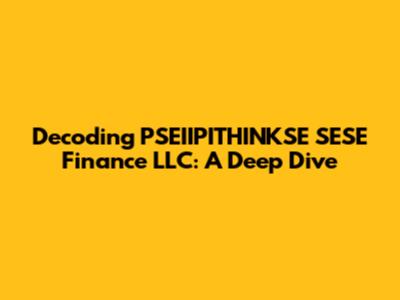 Decoding PSEIIPITHINKSE SESE Finance LLC: A Deep Dive