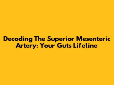 Decoding The Superior Mesenteric Artery: Your Gut's Lifeline