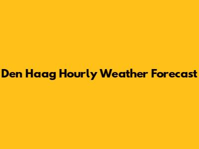 Den Haag Hourly Weather Forecast