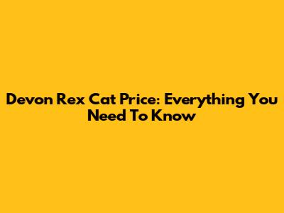 Devon Rex Cat Price: Everything You Need To Know