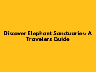 Discover Elephant Sanctuaries: A Traveler's Guide