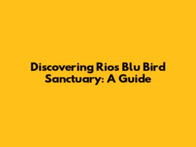 Discovering Rio's Blu Bird Sanctuary: A Guide