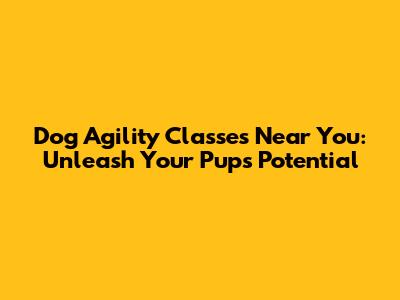 Dog Agility Classes Near You: Unleash Your Pup's Potential