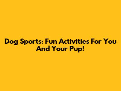Dog Sports: Fun Activities For You And Your Pup!