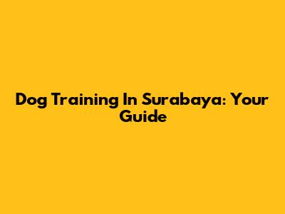 Dog Training In Surabaya: Your Guide