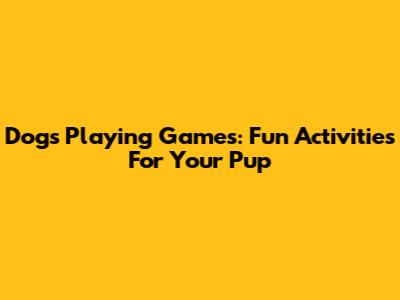 Dogs Playing Games: Fun Activities For Your Pup