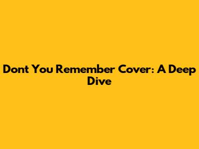 Don't You Remember Cover: A Deep Dive