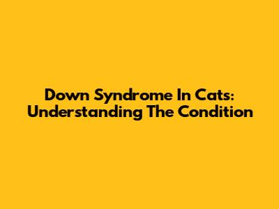 Down Syndrome In Cats: Understanding The Condition