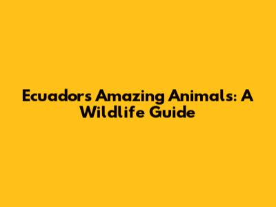 Ecuador's Amazing Animals: A Wildlife Guide