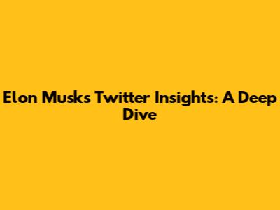 Elon Musk's Twitter Insights: A Deep Dive