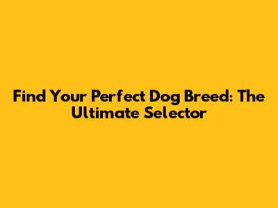 Find Your Perfect Dog Breed: The Ultimate Selector
