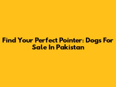 Find Your Perfect Pointer: Dogs For Sale In Pakistan