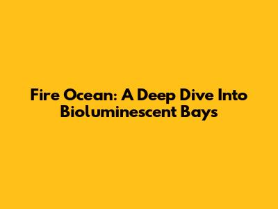 Fire Ocean: A Deep Dive Into Bioluminescent Bays