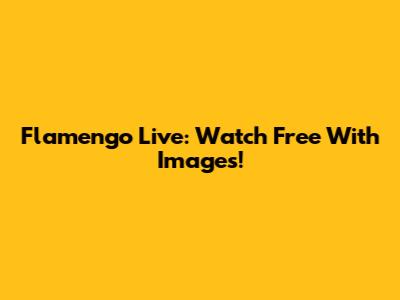 Flamengo Live: Watch Free With Images!
