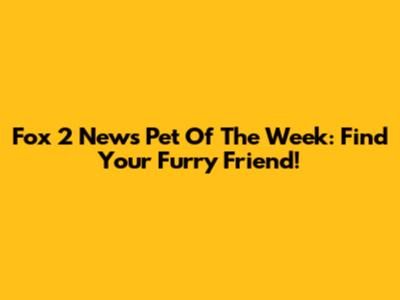 Fox 2 News Pet Of The Week: Find Your Furry Friend!
