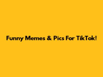 Funny Memes & Pics For TikTok!
